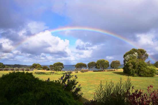Aussicht aus dem Ferienhaus in Walkerville