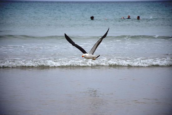 Schnappschuss von Nadja am Strand vom Wilsons Promontory Nationalpark