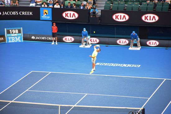 Roger Federer in Action