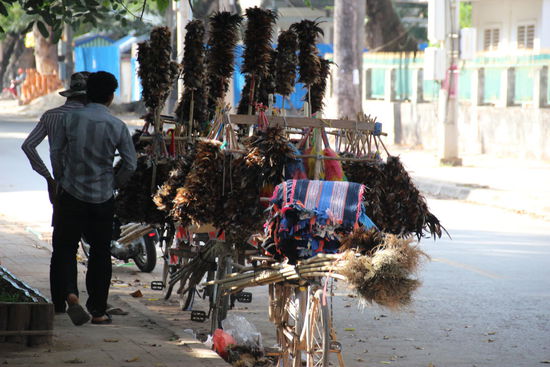 Transport per Fahrrad von allerlei Besen oder Staubwischer