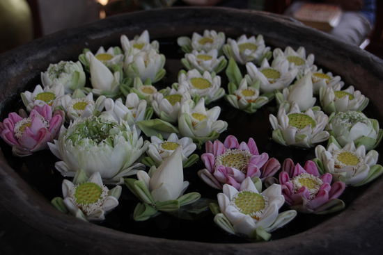 Jeden Tag neu dekoriert mit Lotusblüten