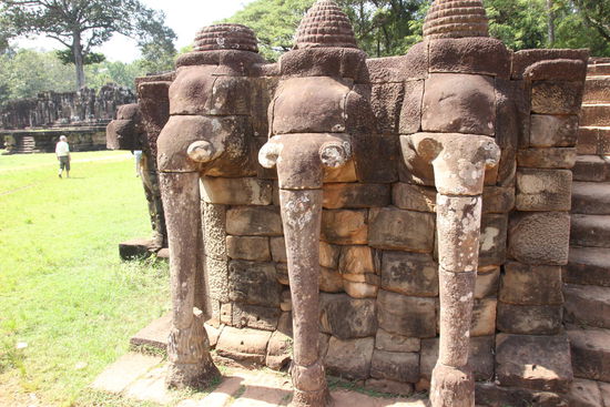 Zugang zur Elefantenterasse