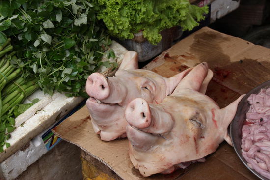 Natürlich ungekühlt bei ca. 30 Grad. Am Bildrand rechts Innereien