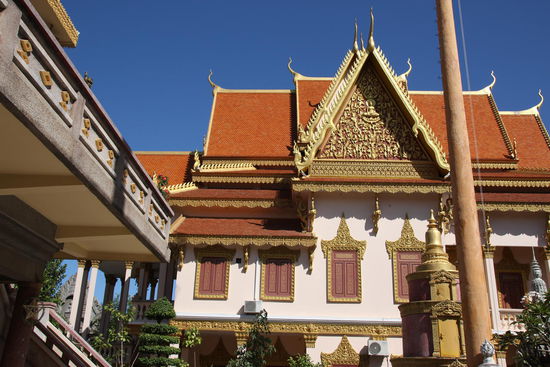 Afrika yirtqichlar porno video