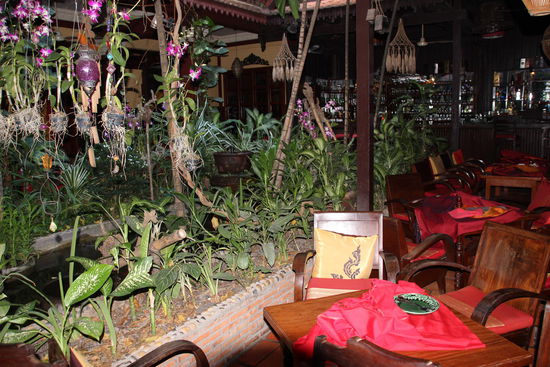 Viele Orchideen und andere exotische Pflanzen im Restaurantbereich