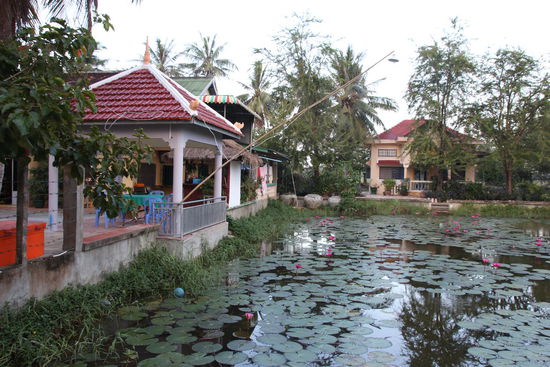 Seerosenteich und im Hintergrund "unser Bungalow"