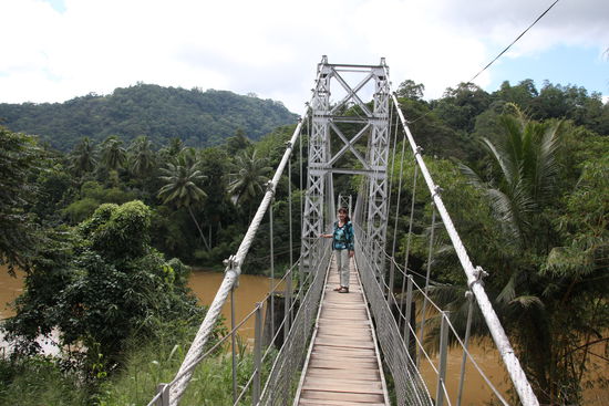 Hängebrücke aus dem Film "Das Dschungelbuch"