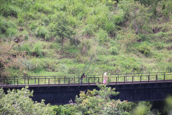 Gang der Einheimischen und Touris über die Eisenbahnbrücke