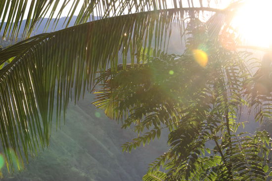 Ella beim Sonnenaufgang