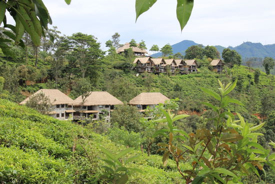 Luxusresort in den Teeplantagen von Ella