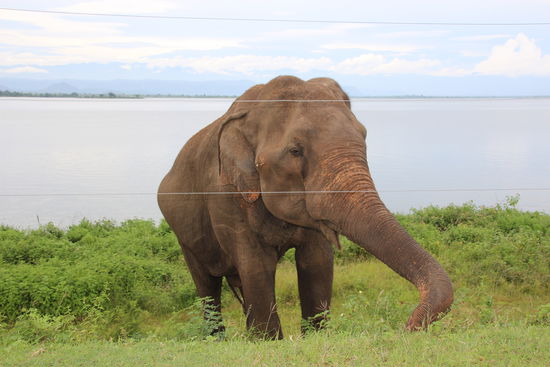 Fotomodell am Straßenrand