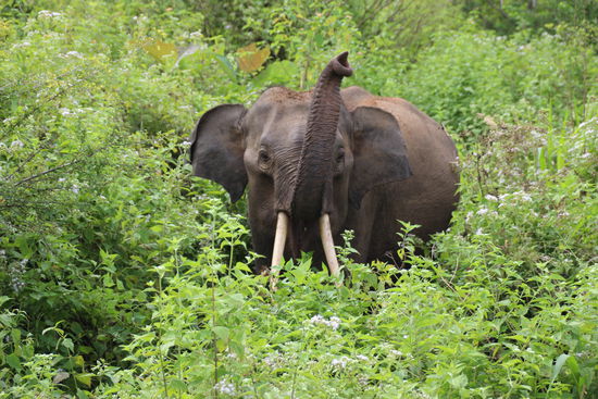Törööö; Erinnerung an Benjamin Blümichen