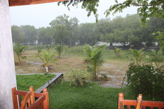 Heftiger Gewitterschauer in Tangalle