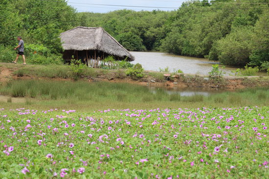 Blick auf die Lagune