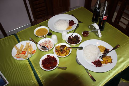 Vegetarischer Curry mit Reis zum Dinner. Als Dessert gab es Eis.