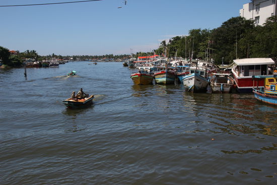 Am Fischereihafen von Negombo