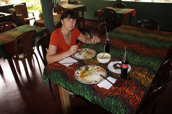 Curry, Reis und Chicken