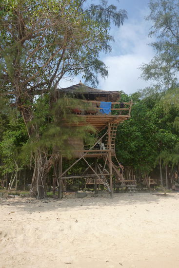 nächstes mal quartiere ich mich in einem Baumhaus direkt am Strand ein 