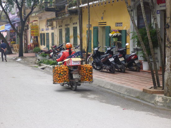 mal wieder ein Bild aus der Kategorie "Roller, das Allzweckbeförderungsmittel mit ausreichend Platz für eine unbegrenzte Personenzahl und Fracht bis der Reifen platzt"