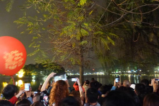 Feuerwerk (hinterm Baum  )