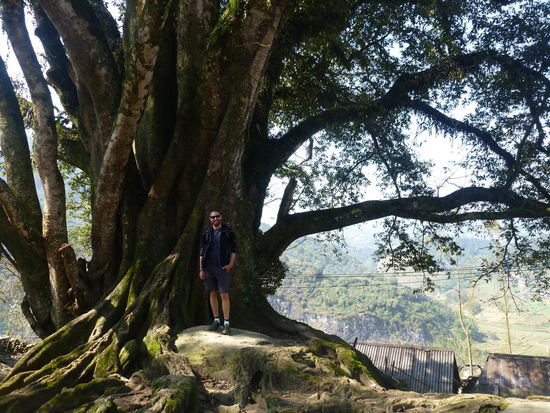 Ich weiß leider nicht mehr warum der Baum für das Dorf so wichtig war. Hatte auf jeden Fall was mit dem Schamanismus zu tun...aber das Bild ist trotzdem schön 