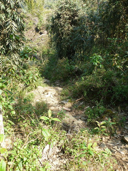 Weg zu Ca's Haus.......ja, da ist ein Weg