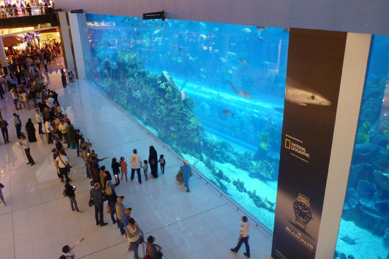 Aquarium in der Dubai Mall
