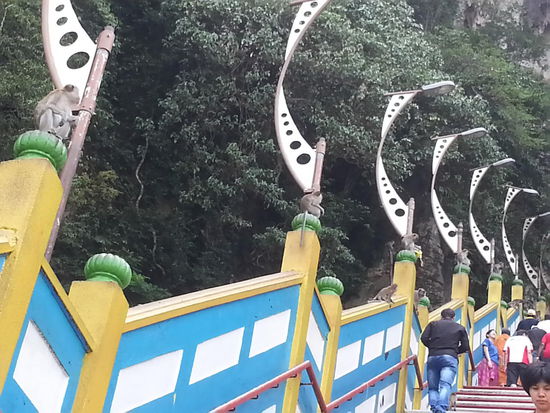 diebische Affen auf dem Treppengeländer