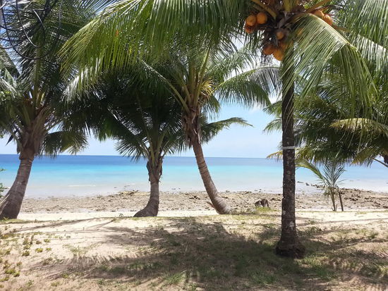 ca. 5m von meinem Bungalow entfernt war der Strand