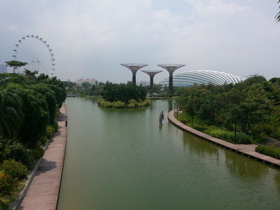 Garden in the Bay