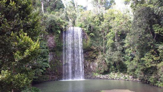 Millaa Millaa Waterfall