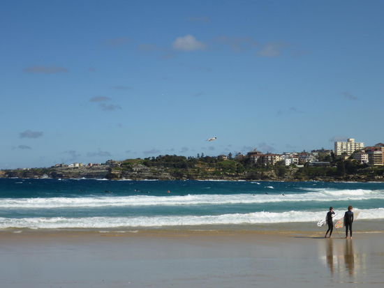 Bondi Beach