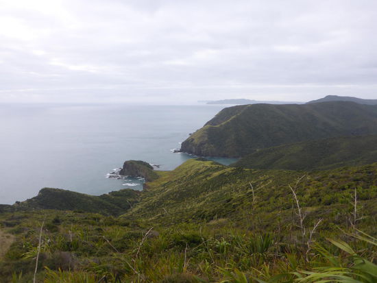 Cape Reinga