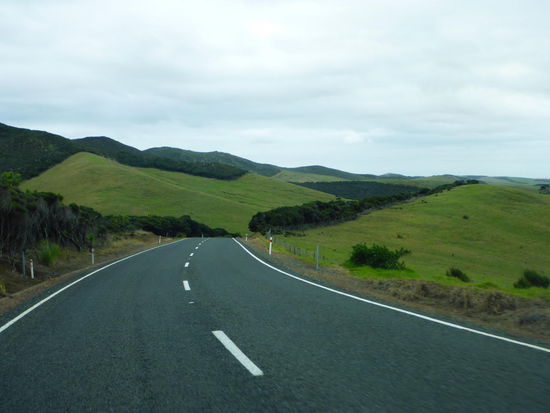 auf dem Weg zum Ninety-Mile-Beach zwischen grünen Hügeln hindurch 