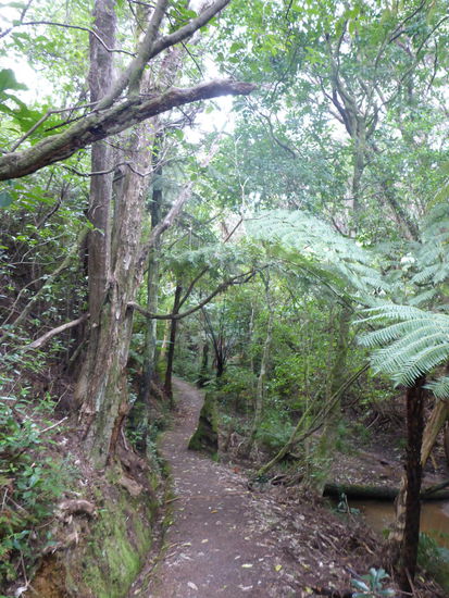 Wanderweg auf Russell