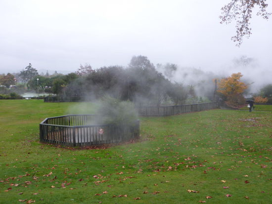 Park in Rotorua
