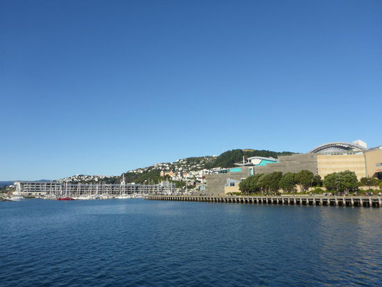 Hafen und Te Papa (rechts)