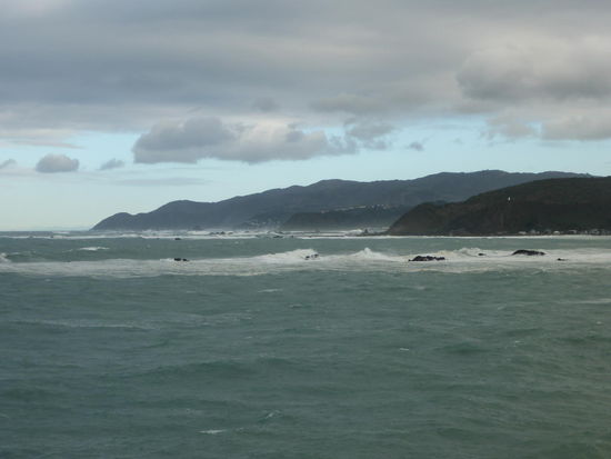 Ausfahrt auf die Cook Strait, die Wellen sind ungefähr 5m hoch