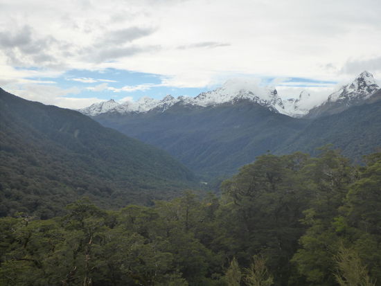 auf dem Weg zum Milford Sound