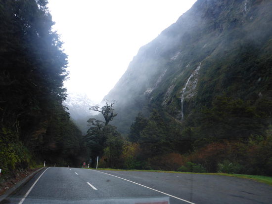 auf dem Weg zum Milford Sound
