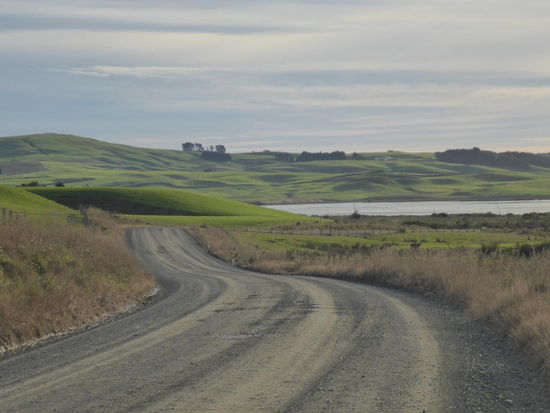 über einsame Straßen durch Neuseelands Landschaft ging es weiter