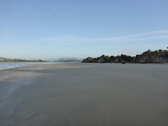 Surat Bay-Seal Watching