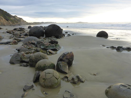 Moeraki Boulders - runde Findlinge mit bis zu 3m Durchmesser, die am Strand liegen