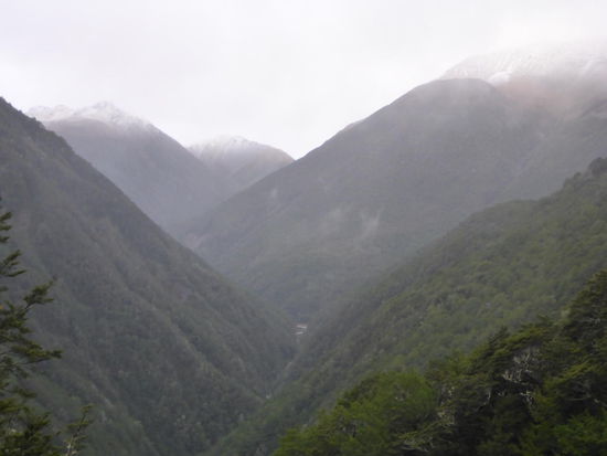 auf dem Weg zum Abel Tasman