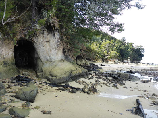 Costal Walk Abel Tasman