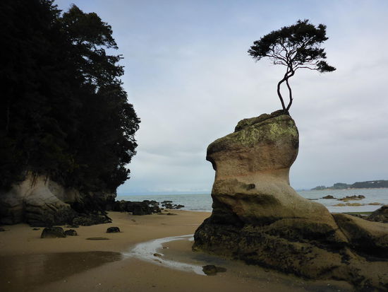 Costal Walk Abel Tasman