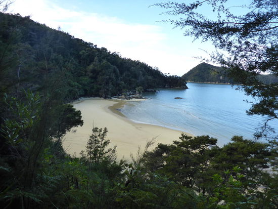 Costal Walk Abel Tasman