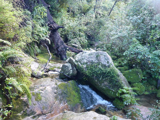 Costal Walk Abel Tasman