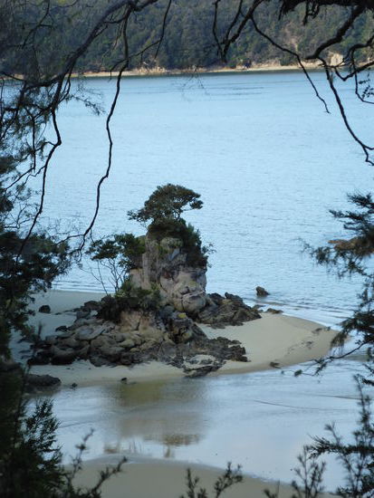 Costal Walk Abel Tasman