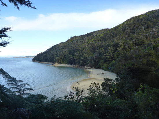 Costal Walk Abel Tasman